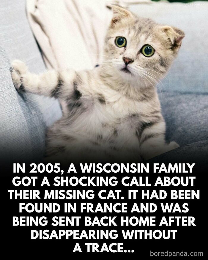 Wait, They Actually Ranked These Mind-Blowing True Facts?!