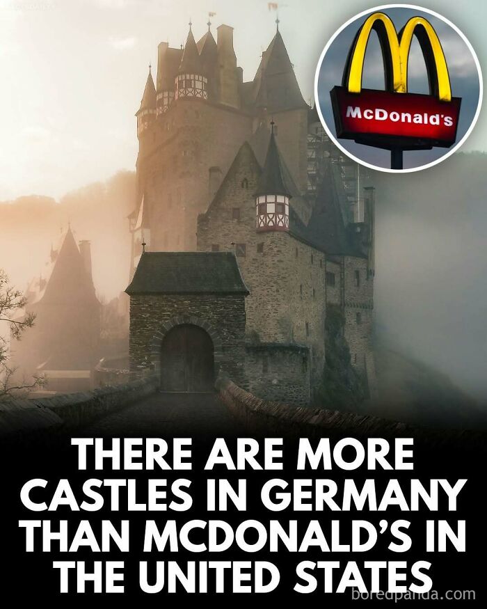 Wait, They Actually Ranked These Mind-Blowing True Facts?!