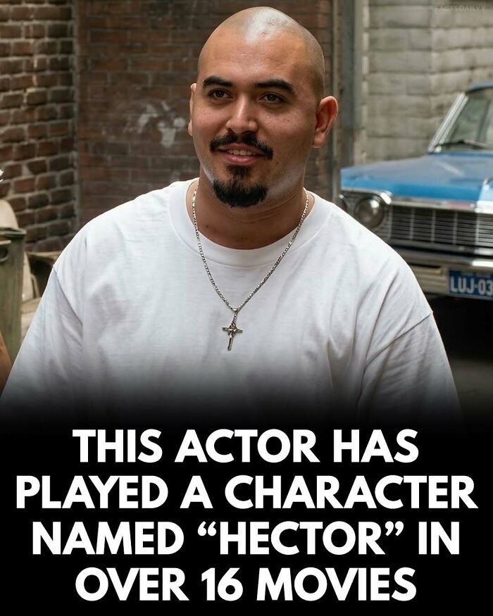 Wait, They Actually Ranked These Mind-Blowing True Facts?!