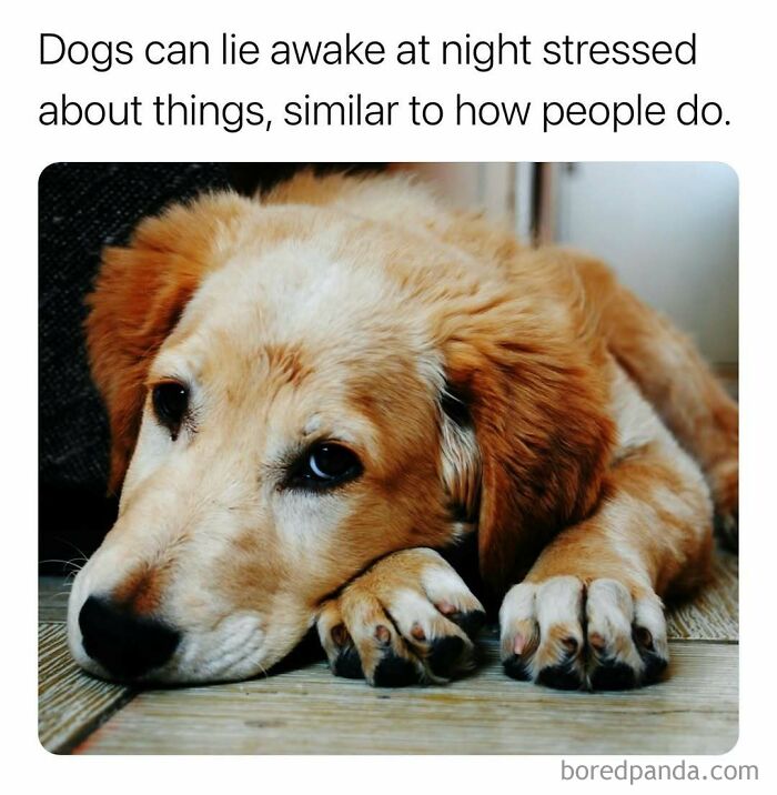 Wait, They Actually Ranked These Mind-Blowing True Facts?!