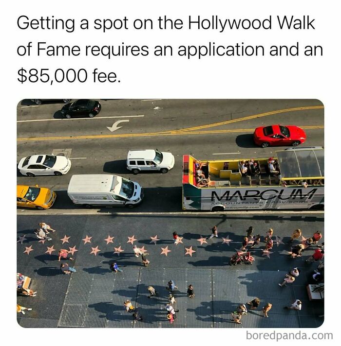 Wait, They Actually Ranked These Mind-Blowing True Facts?!