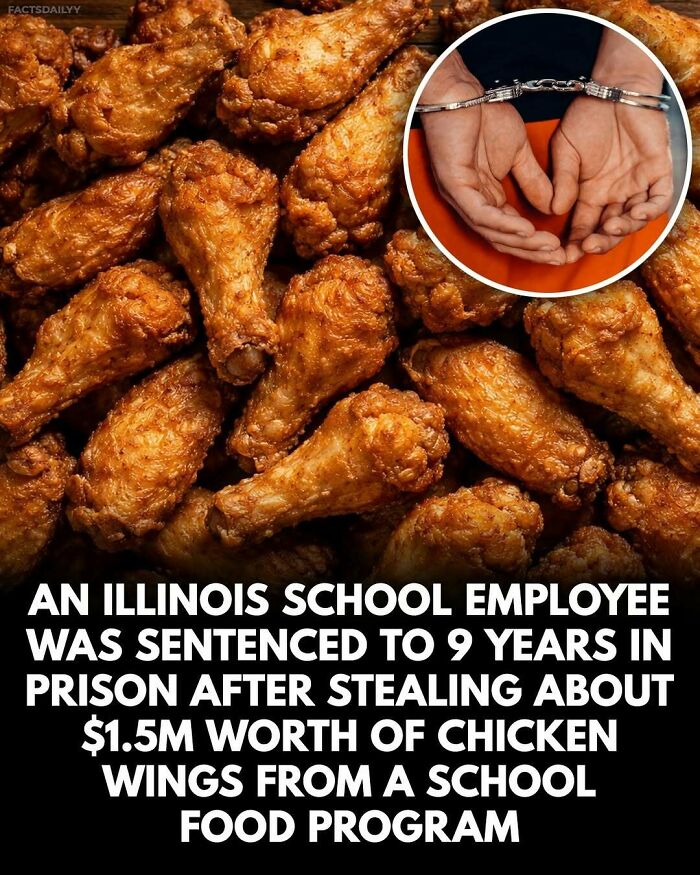 Wait, They Actually Ranked These Mind-Blowing True Facts?!