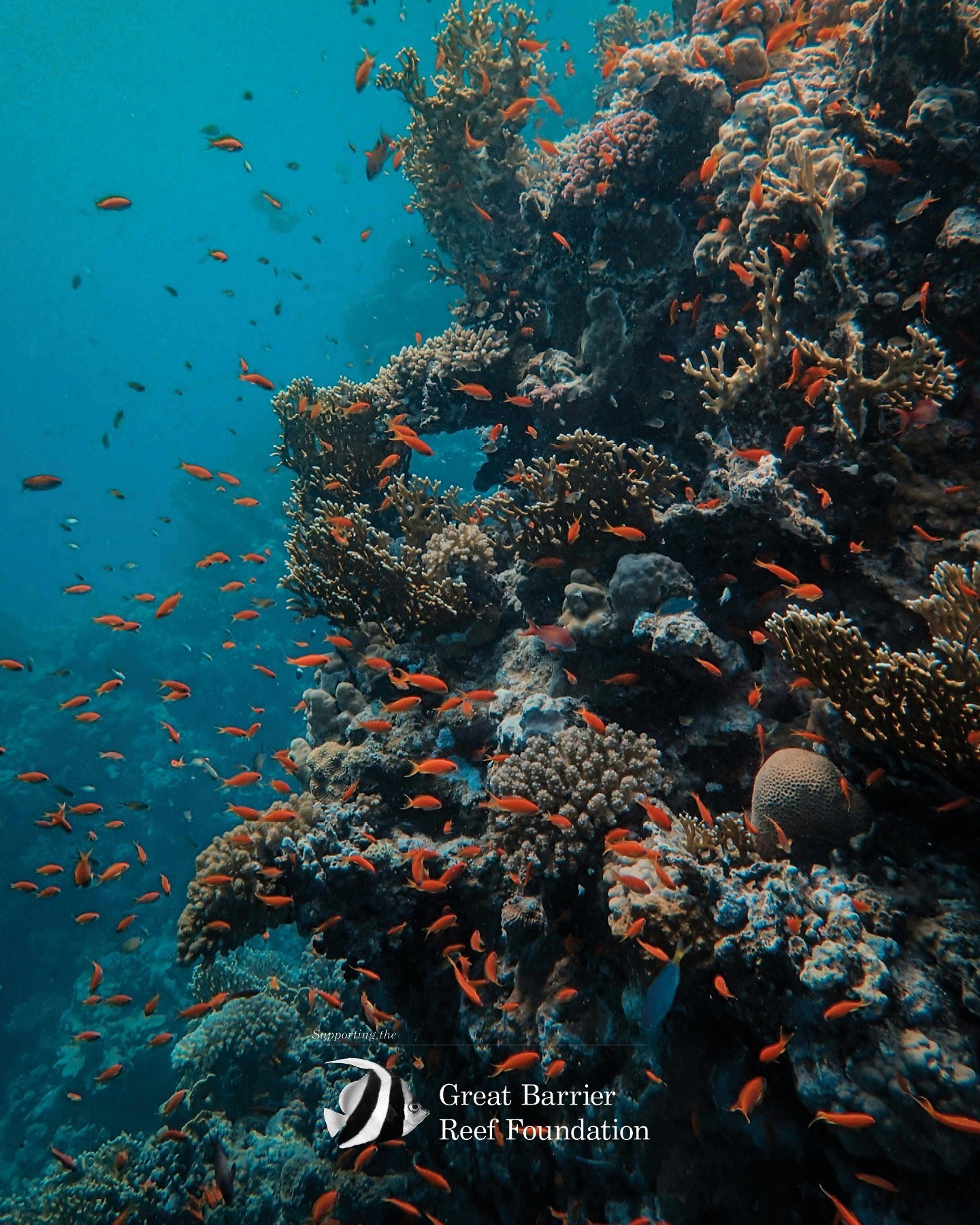 Galápagos Islands: Nature’s Special Edition At Risk