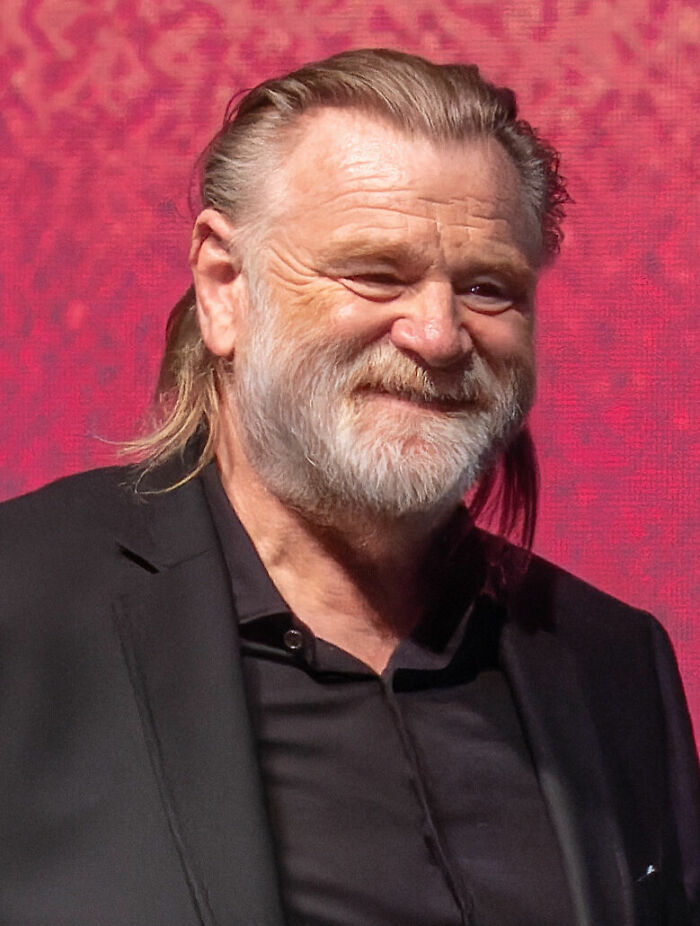Brendan Gleeson: The Actor Who Does It All, 71