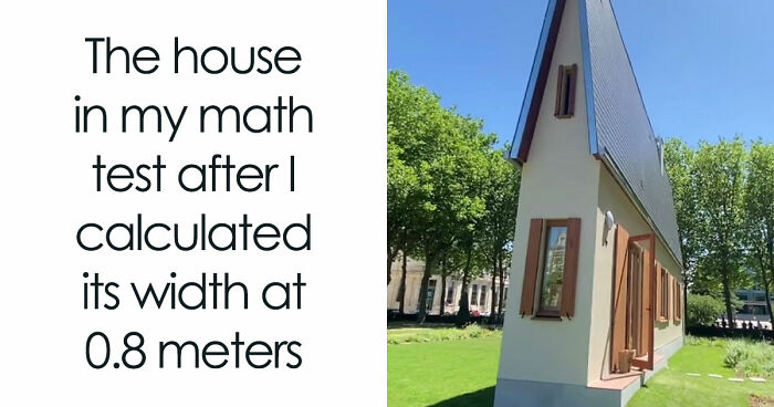 Wait, They Actually Ranked These Memes?!