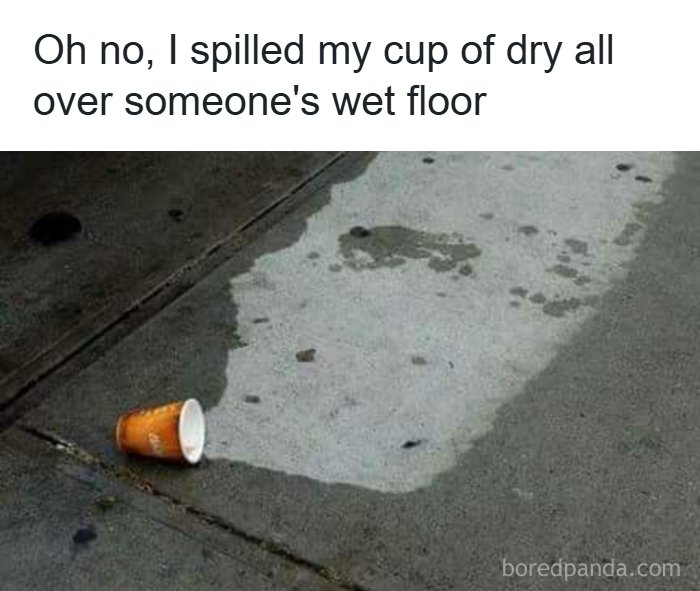 Wait, They Actually Ranked These Memes?!