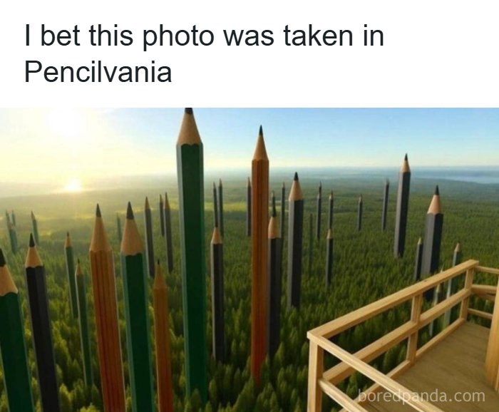 Wait, They Actually Ranked These Memes?!