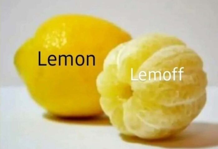 Wait, They Actually Ranked These Memes?!