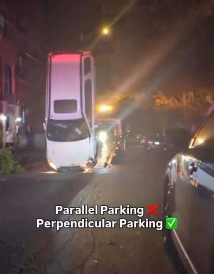 Wait, They Actually Ranked These Memes?!