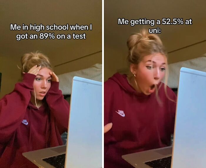 Wait, They Actually Ranked These Memes?!