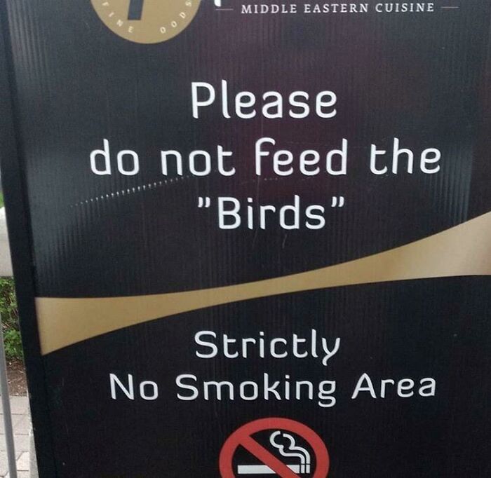 Are Those Real "Birds"?
