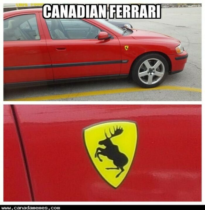 These 55 Canada Memes Are So Canadian, Eh? We Couldn’t Stop Laughing!