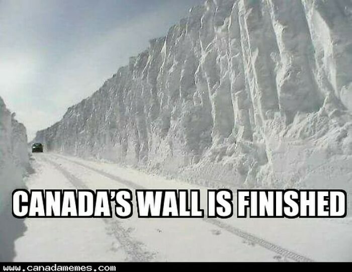 These 55 Canada Memes Are So Canadian, Eh? We Couldn’t Stop Laughing!