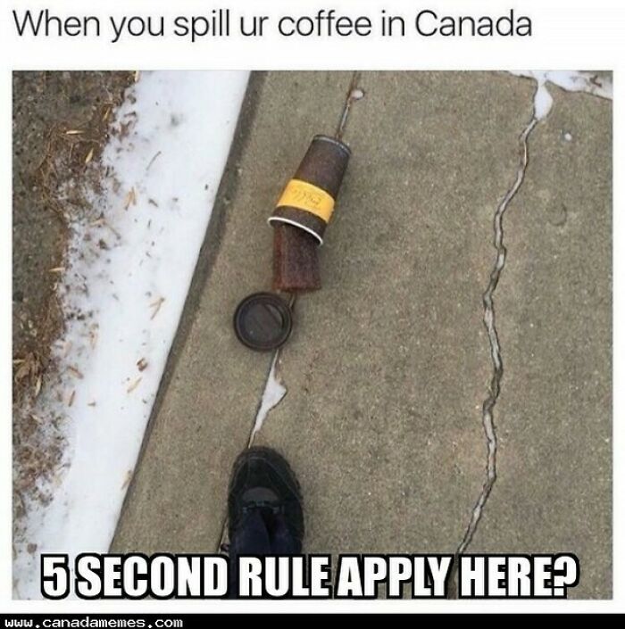 These 55 Canada Memes Are So Canadian, Eh? We Couldn’t Stop Laughing!