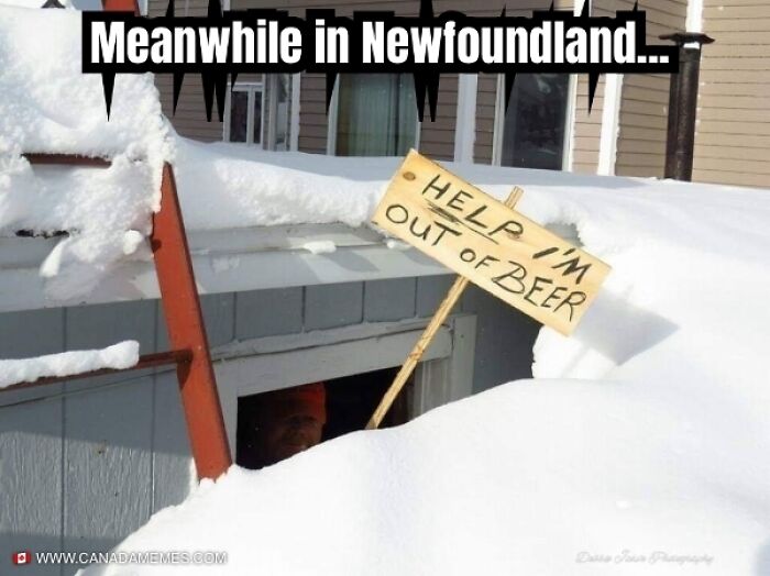 These 55 Canada Memes Are So Canadian, Eh? We Couldn’t Stop Laughing!