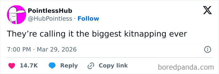 12 Tons Of KitKat Went Missing, And The Internet Lost It With Hilarious Reactions
