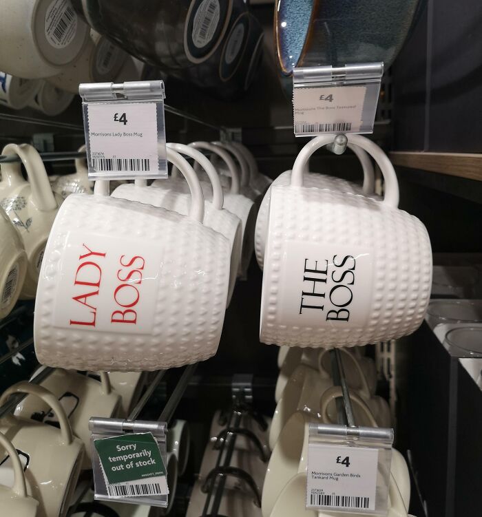 Meet The Two Genders: Lady And The Other One