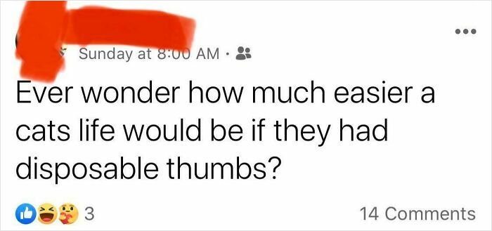 Disposable Thumbs? Yes, Please!