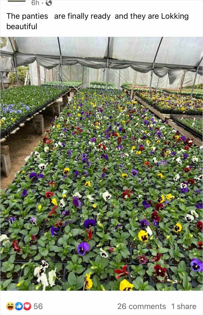 Oops! These Spelling Fails Are Too Hilarious Not To Share