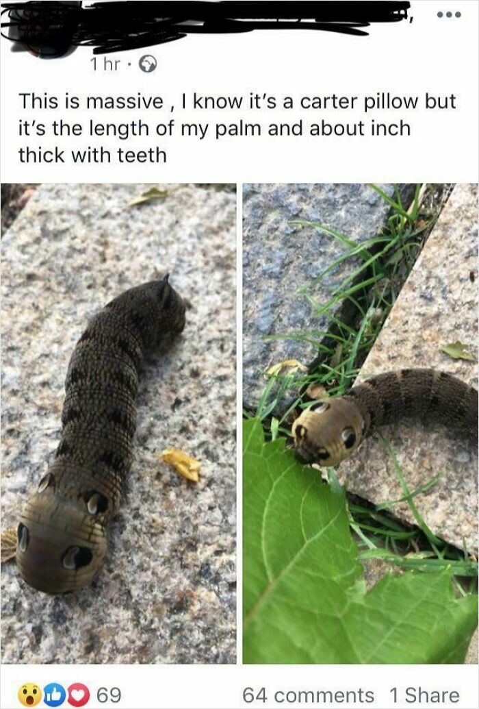 Oops! These Spelling Fails Are Too Hilarious Not To Share