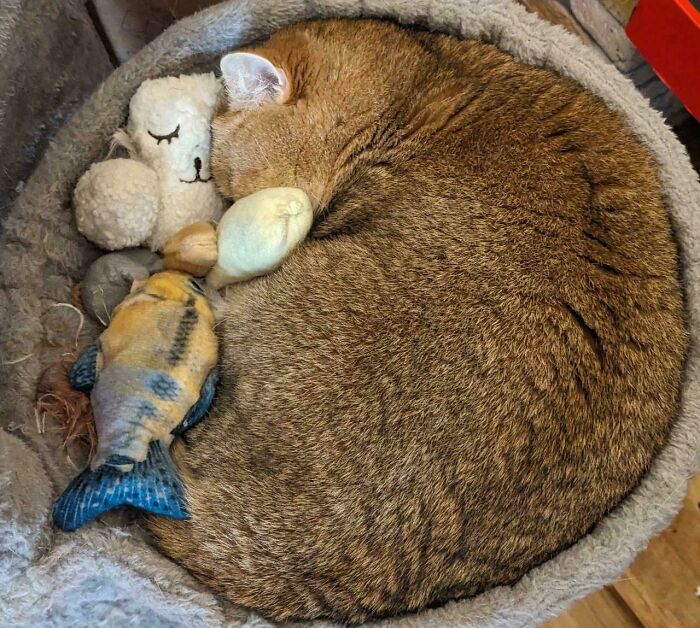 Chilling Surrounded By Toys Like She Just Don’t Care