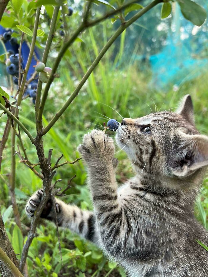 Found Her Behind A Restaurant, And The Next Day? This Happened