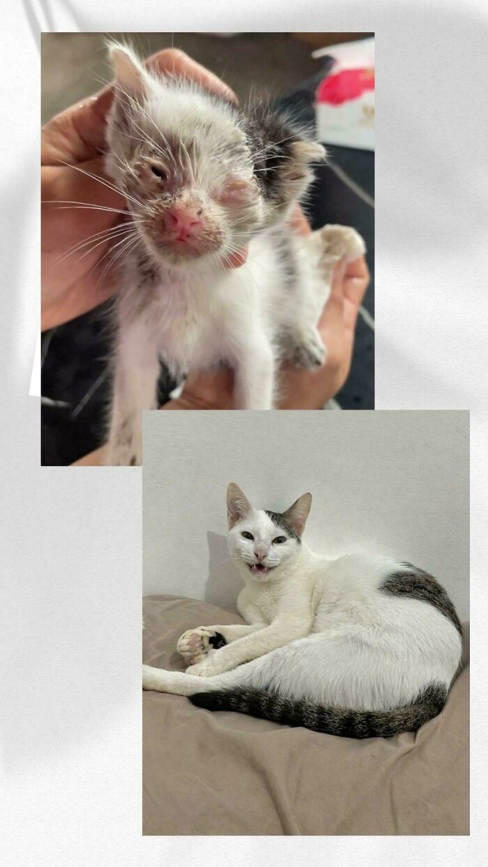 You Might Not Change The Whole World By Rescuing An Animal, But You’ll Change Their Entire World