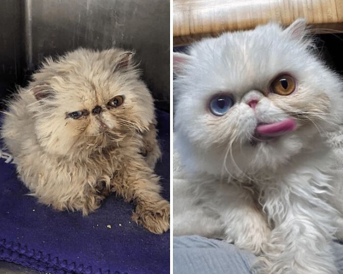 Ziggy’s Finally Home And Loving It