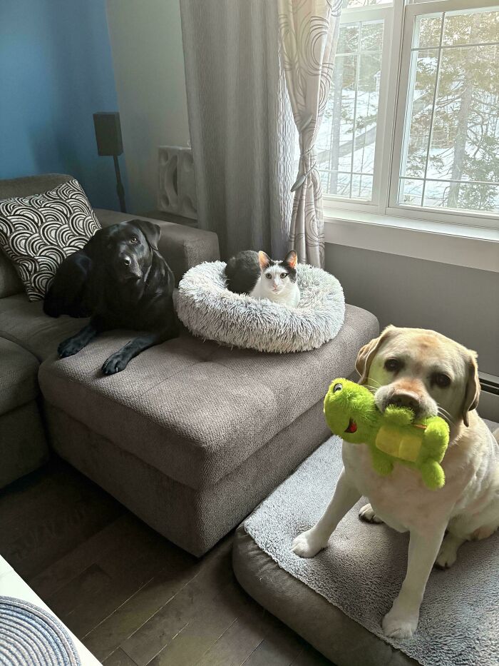 Never Loved Anything More In My Life Than This Little One!