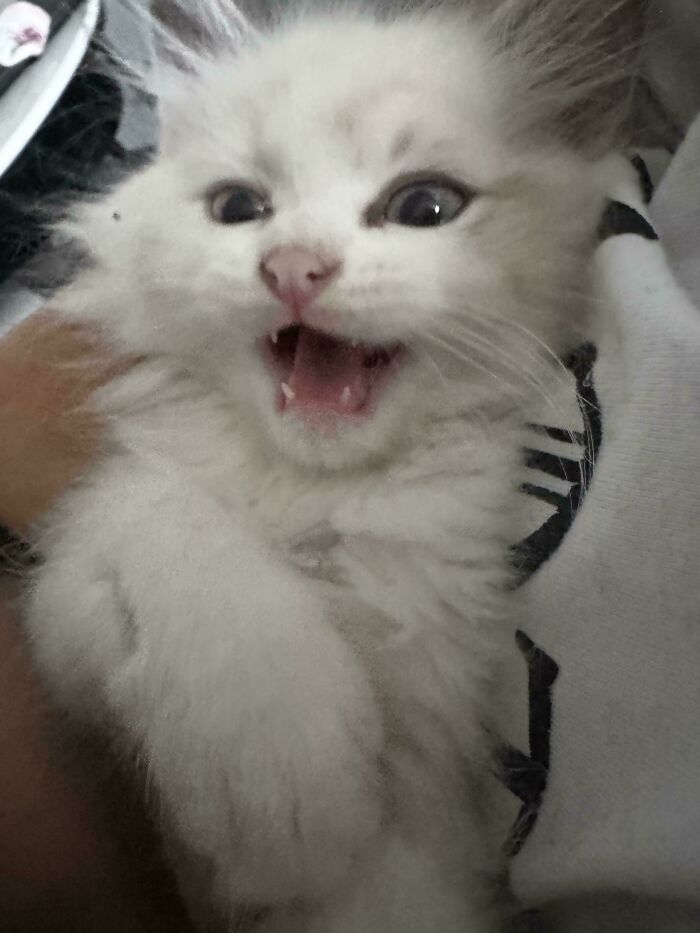 Found This Tiny Baby With A Birth Defect—Look At That Happy Face!