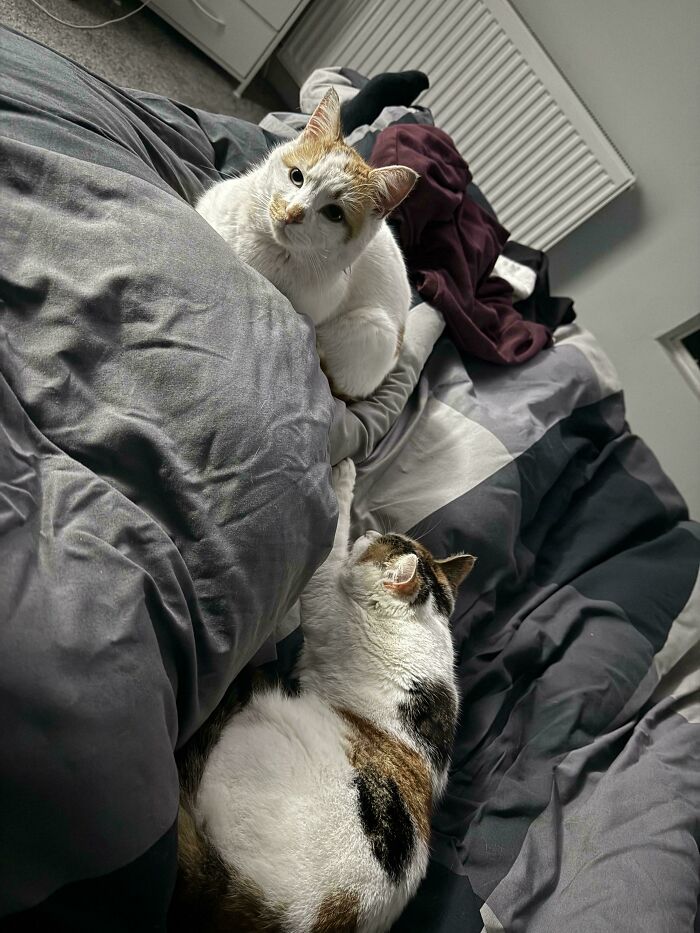 Adopted These Two Babies Who Got Left Behind—Now They’re Loved!