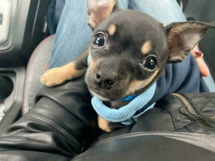 Adopted This Baby Today—Heart = Melted