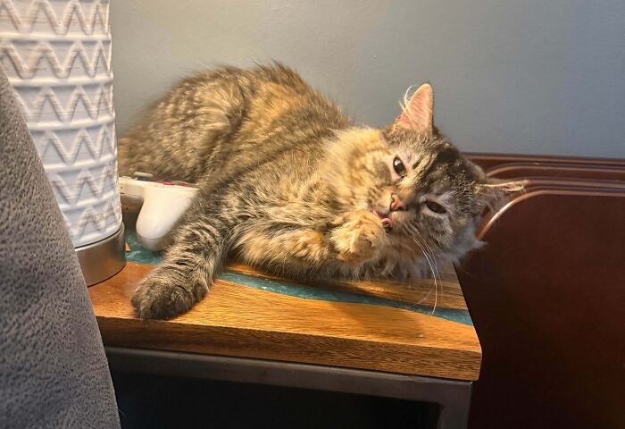 Meet Lola, My New Baby Who’s Already Stealing Hearts