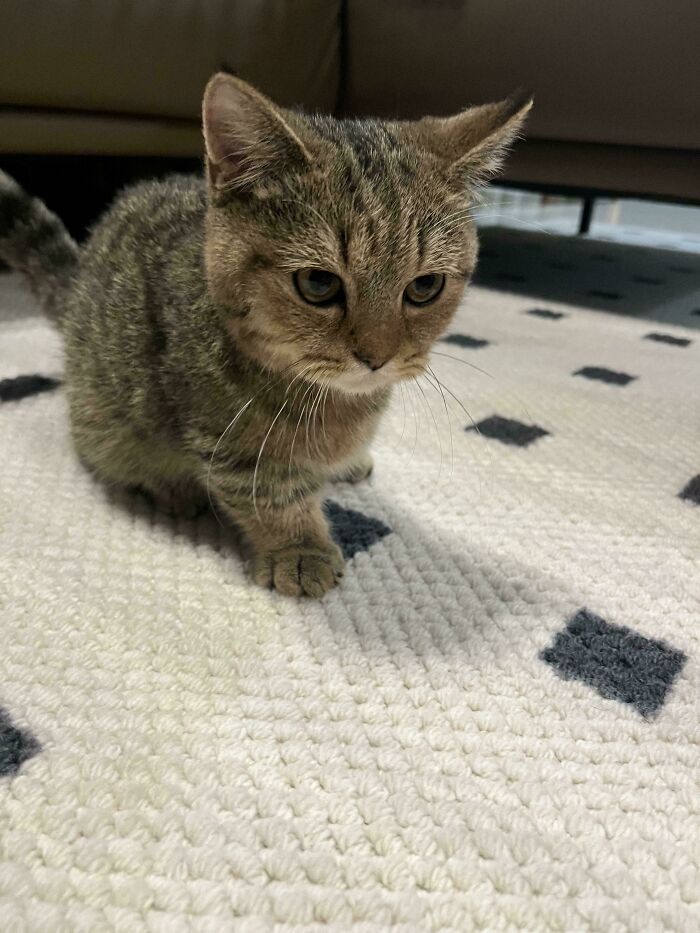 Just Added A Brand New Family Member Who’s Already Winning Hearts