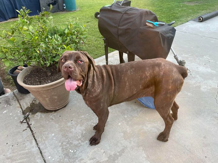 Adopted This Perfect Angel Last Week—Still In Awe