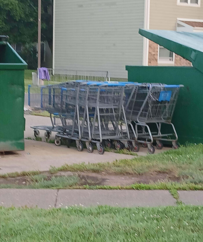 Neighbors Treat Shopping Carts Like Souvenirs