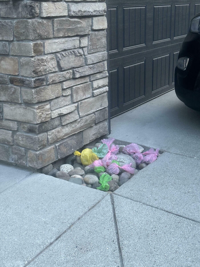 Neighbors Toss Dog Poop Bags on Rocks Like It’s a Trash Art Installation