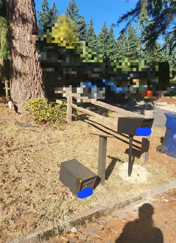 Neighbor Moved Their Mailbox onto My Lawn and Took Down Mine… Without Asking