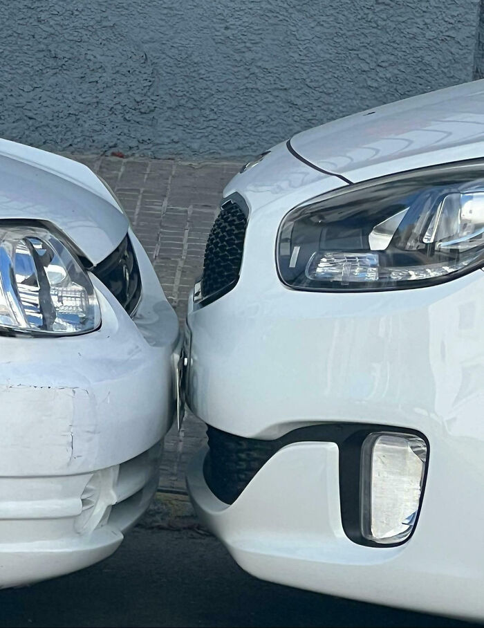 Neighbor’s Car Is So Close It’s Practically Hugging Mine