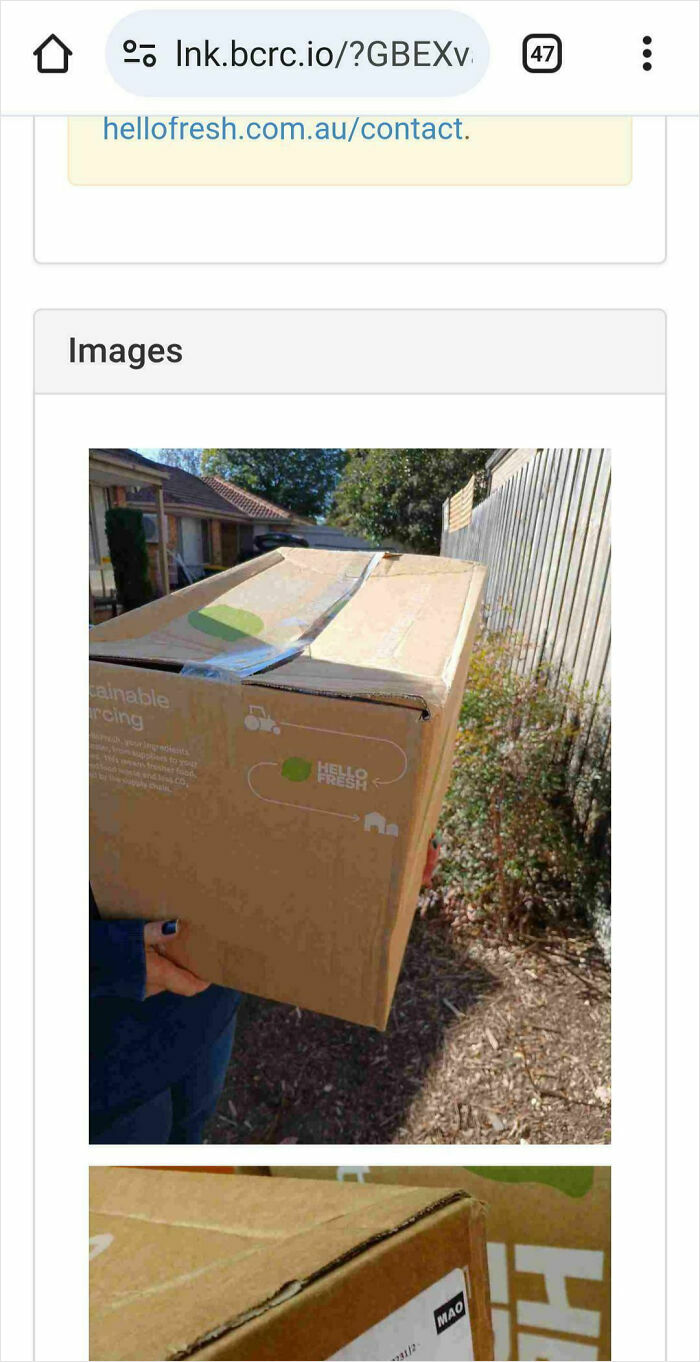 Neighbor Stole My HelloFresh Box and Swears She Didn’t