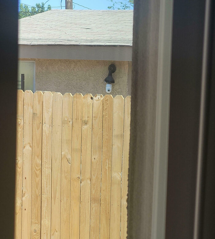 Neighbor’s Camera Has a Major Back-Door Obsession