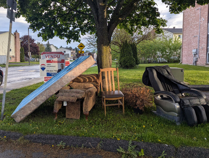 Old Neighbors Moved Out and Left a Junkyard on the Lawn, Thanks City!