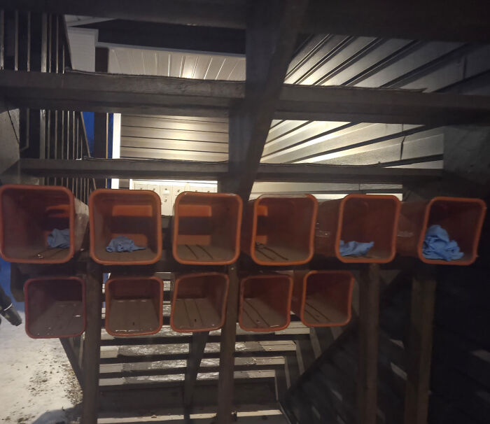 Neighbor Stores Used Gloves In Everyone’s Newspaper Slots Like It’s a Private Trash Can