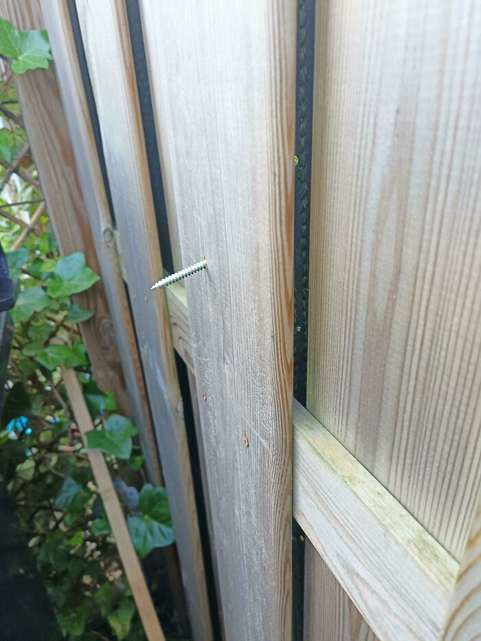 Neighbor’s Decorative Screws and Mystery Hanging Thing in Full View