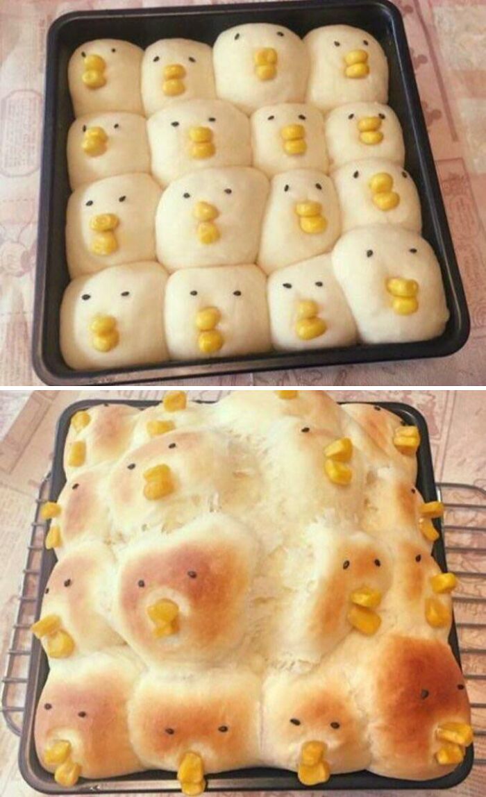Classic Expectation vs. Reality Battle