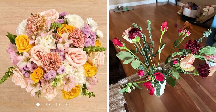 What I Thought I Ordered vs. The Floral Disaster I Got