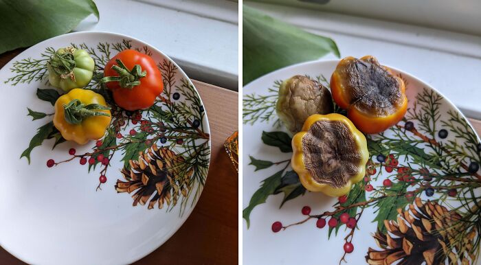 Instagram Vs. Reality: Let’s Be Real