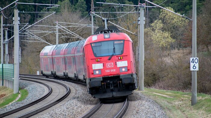 Wait, People Actually Saw This Stuff?! 81 Wildly Disturbing Real-Life Moments