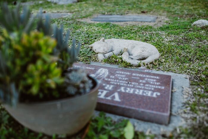 Wait, People Actually Saw This Stuff?! 81 Wildly Disturbing Real-Life Moments