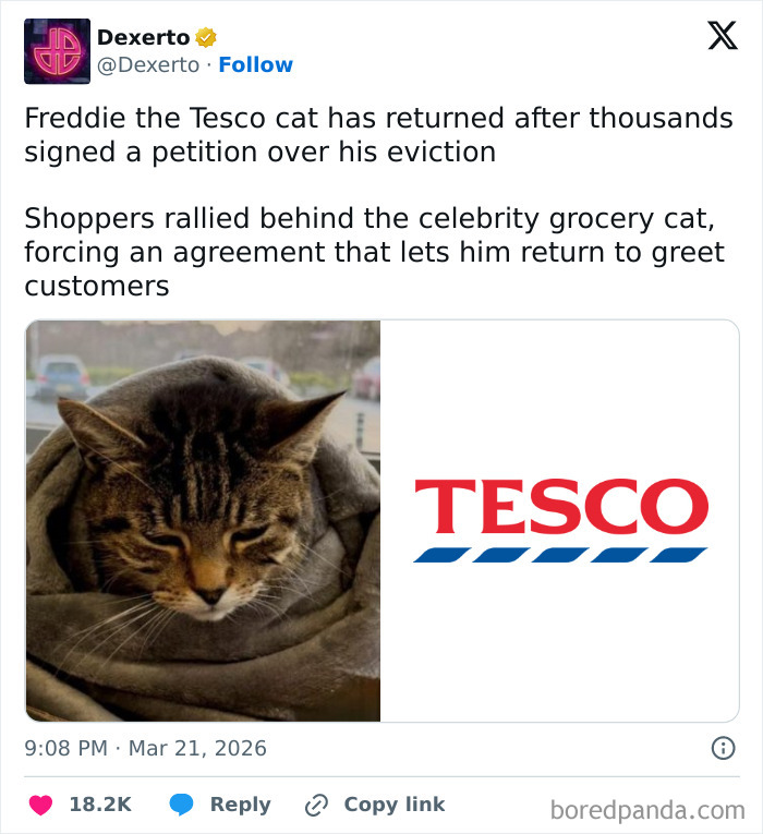 Wait, People Actually Posted These Funny March Tweets?!